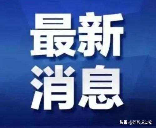 广西交通台爆料新闻最新,突发交通事故引发关注